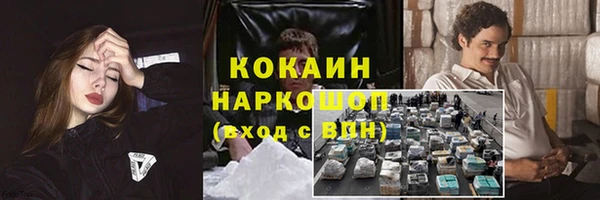 гашик Пестово