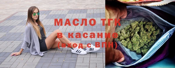 гашик Пестово