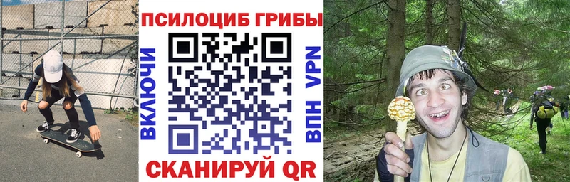 где можно купить наркотик  Костомукша  mega tor  Галлюциногенные грибы Psilocybine cubensis 